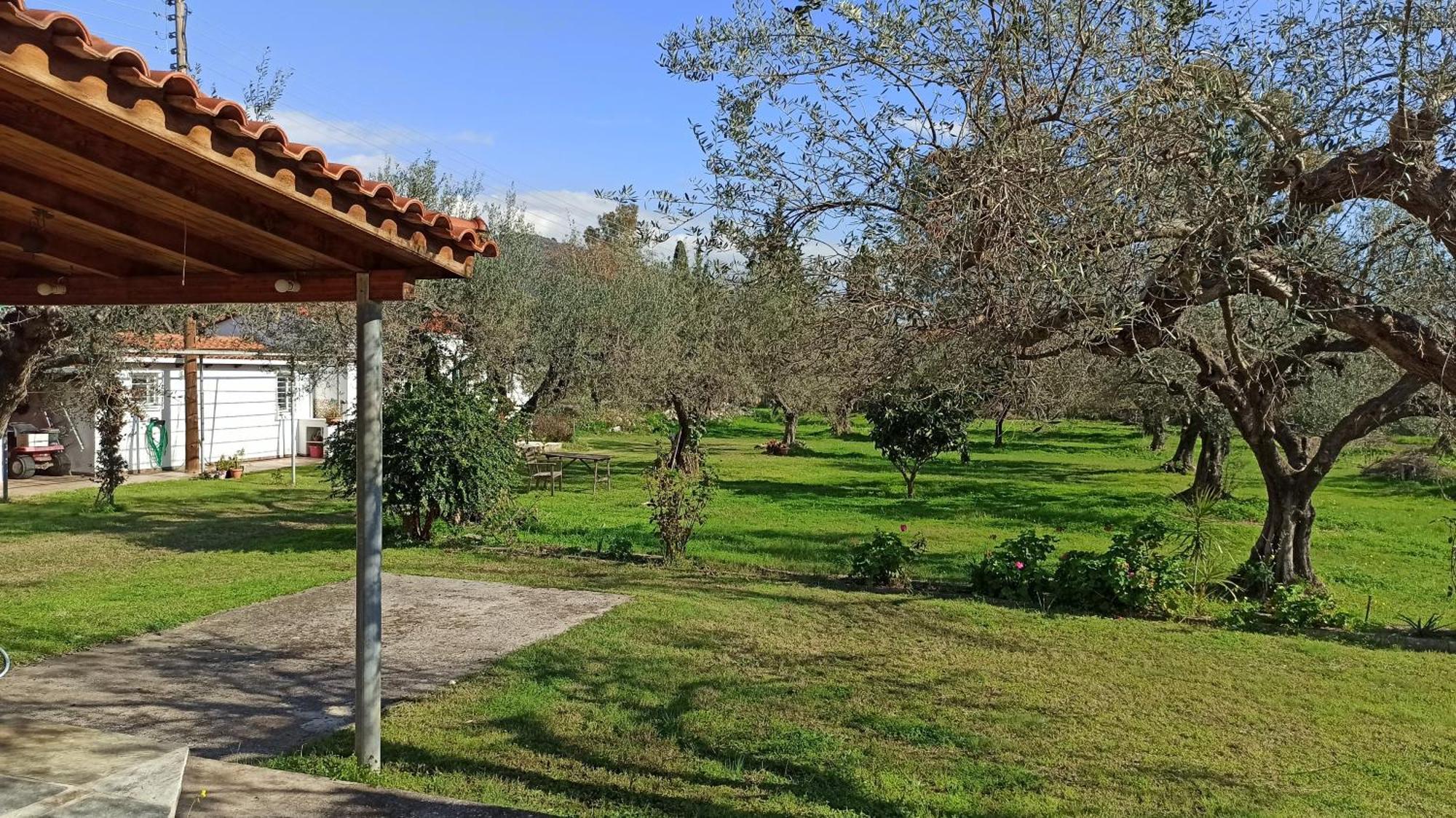 Nafpaktos Cottage By The Sea For Travelers And Dreamers! Exterior foto